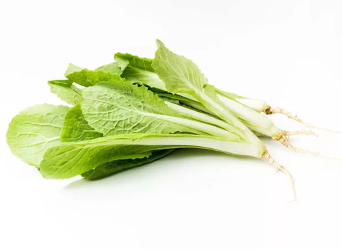 應(yīng)季養(yǎng)生｜冬季餐桌必備 這幾種時(shí)令蔬菜不僅營(yíng)養(yǎng)豐富，還能增強(qiáng)抵抗力