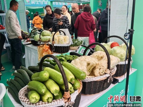 暮秋蘭州甘味濃，張掖有機農產品展銷會圈粉金城苗木