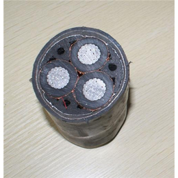固原超高壓電纜、河北新寶豐電纜與特種電纜市場探析